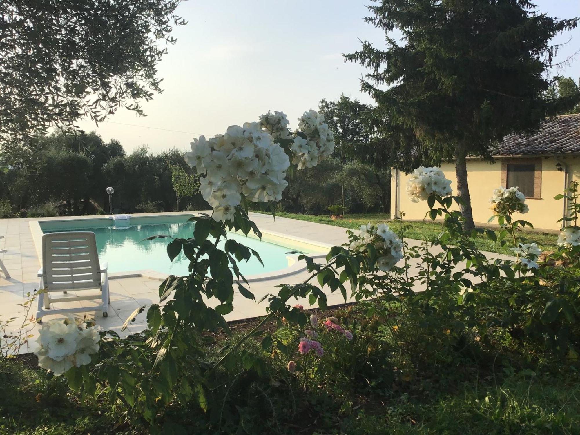I Massi Bed and Breakfast San Michele in Teverina Εξωτερικό φωτογραφία
